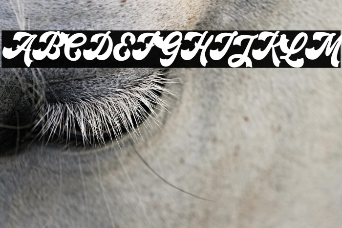 Retroholic - Demo Example 2