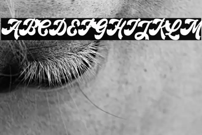 Retroholic - Demo Font examples