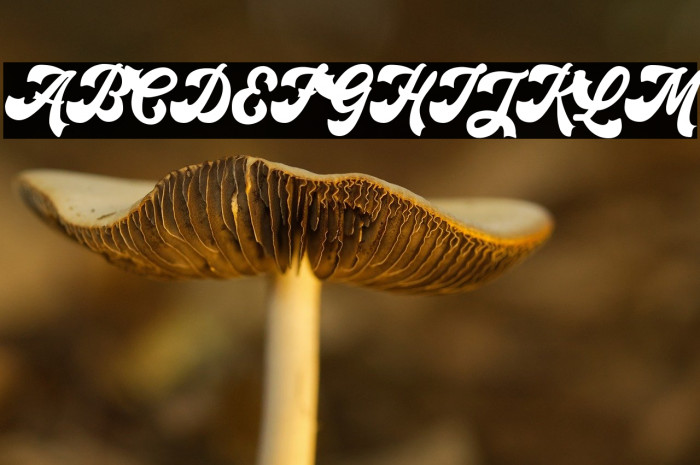 Retroholic - Demo Example 3