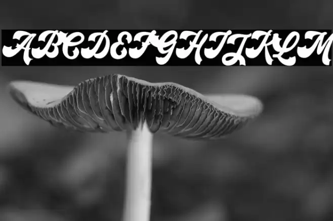 Retroholic - Demo Font examples