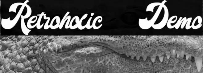 Retroholic - Demo Font examples