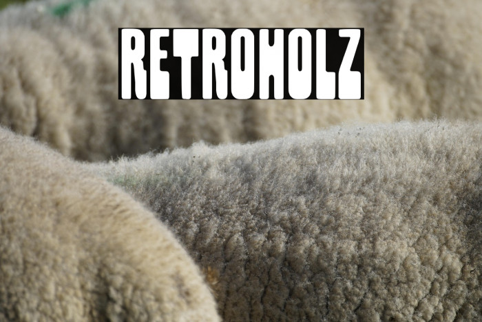 Retroholz Example 2