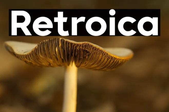 Retroica Example 2