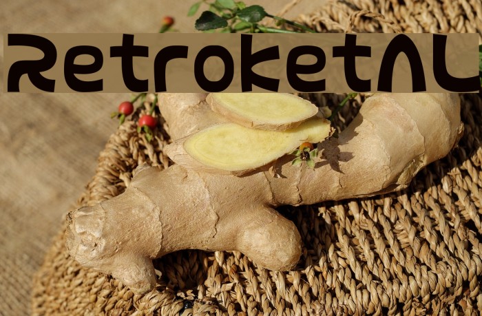 RetroketAL Example 1