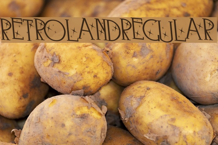 Retroland-Regular Font examples