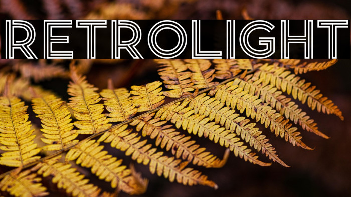 Retrolight Example 2