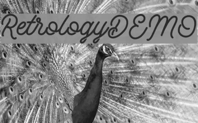 RetrologyDEMO Font examples