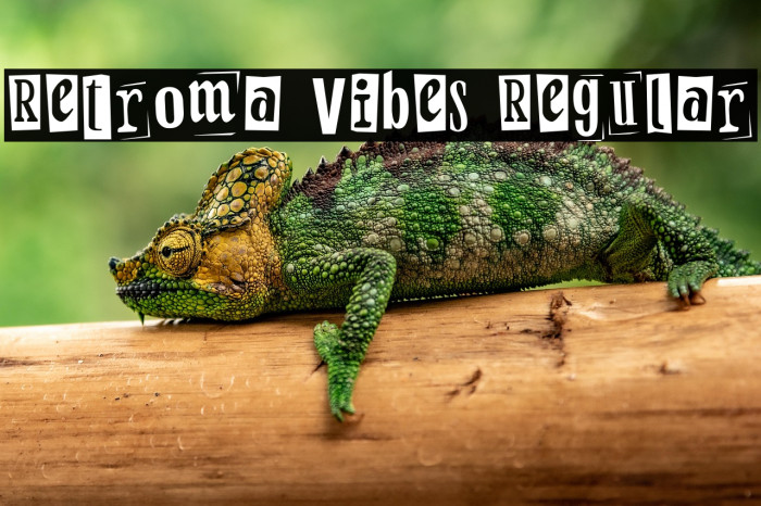 Retroma Vibes Regular Example 1
