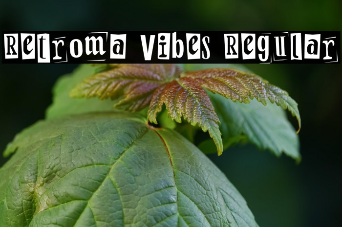 Retroma Vibes Regular Example 2