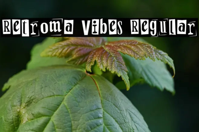 Retroma Vibes Regular Example 2