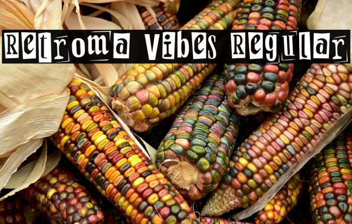 Retroma Vibes Regular Example 3