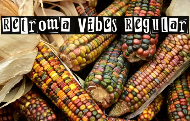 Retroma Vibes Regular Example 3