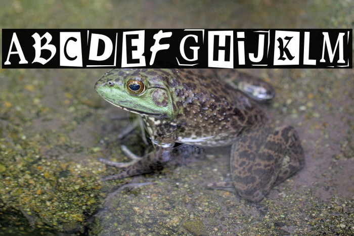 RetromaVibes-Regular Example 2