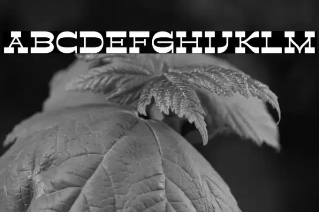 Retroman Bold Font examples