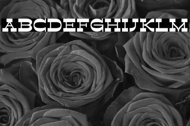 Retroman Bold Font examples