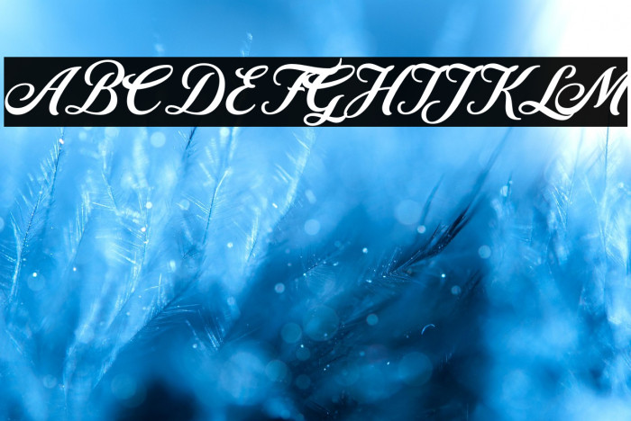 RetromarkScriptDemo-Regular Example 1