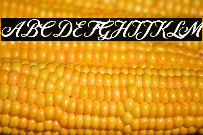 RetromarkScriptDemo-Regular Example 2