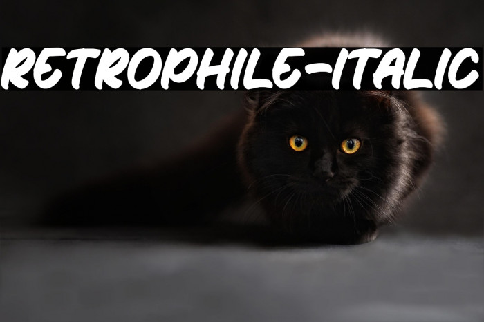 Retrophile-Italic Example 1