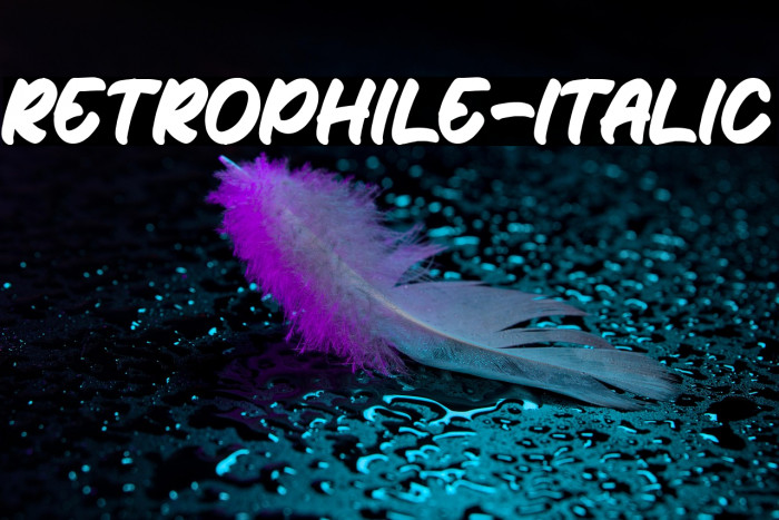 Retrophile-Italic Example 2