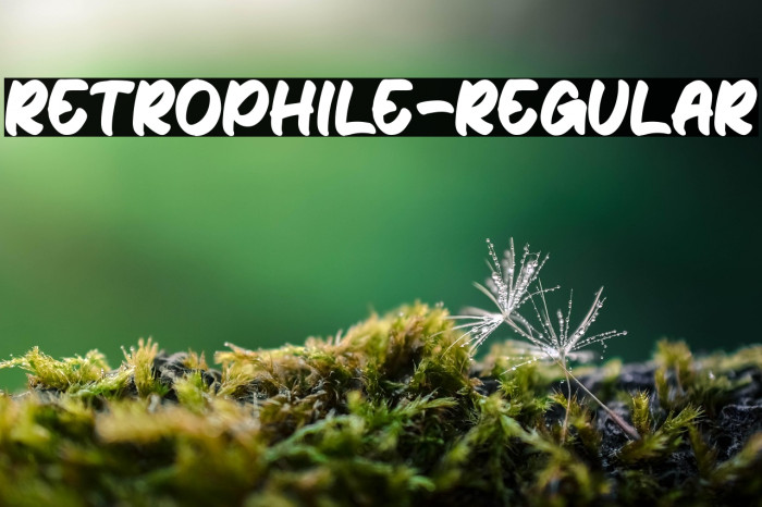 Retrophile-Regular Example 1