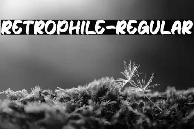 Retrophile-Regular Font examples