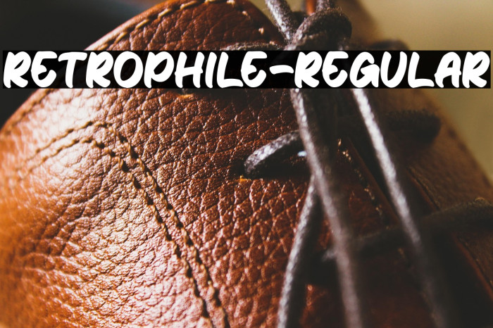 Retrophile-Regular Example 2