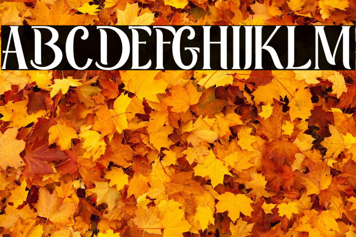 Retrophilia Example 2