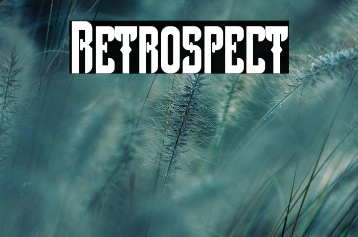 Retrospect Example 1