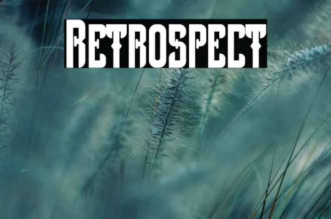 Retrospect Example 1