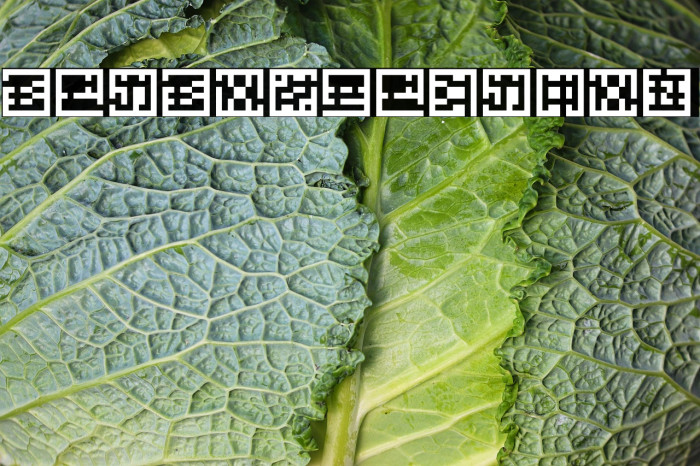 Retrospection Example 2