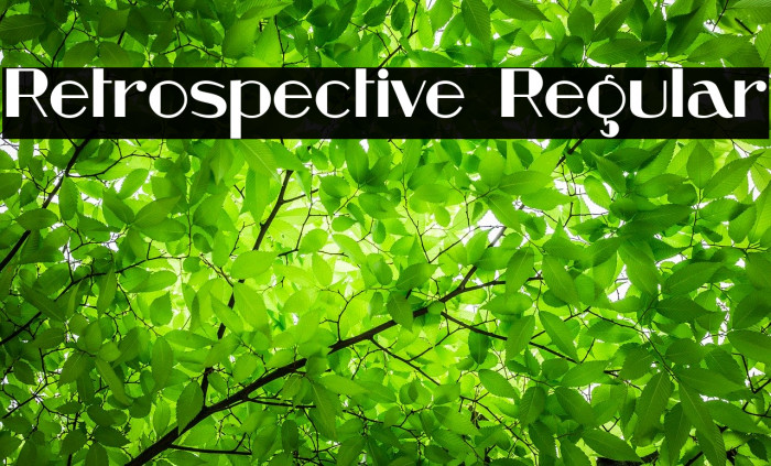 Retrospective Regular Font examples
