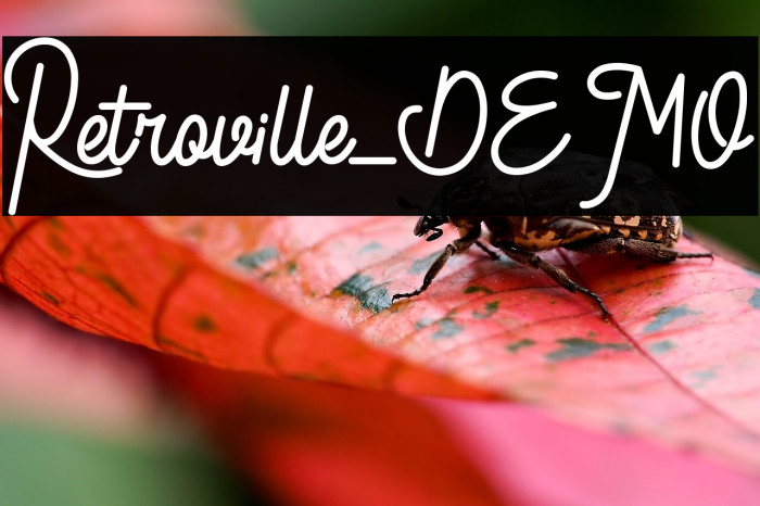 Retroville_DEMO Example 2