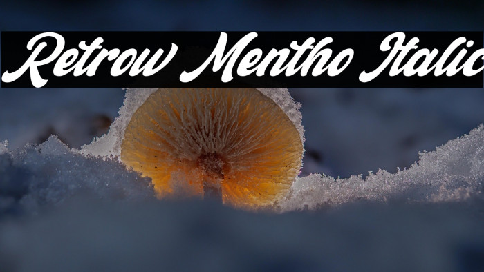 Retrow Mentho Italic Example 1