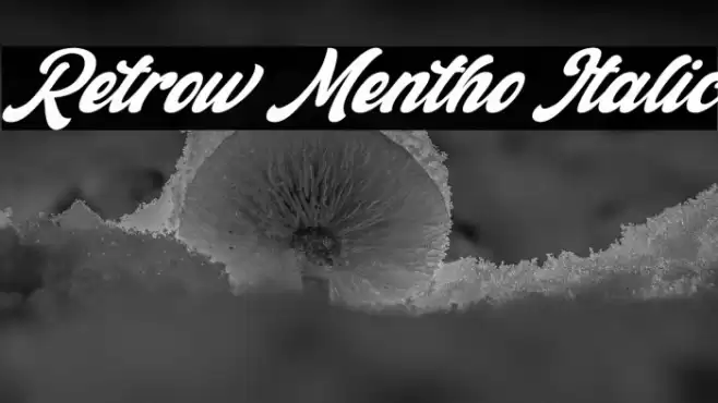 Retrow Mentho Italic Font examples