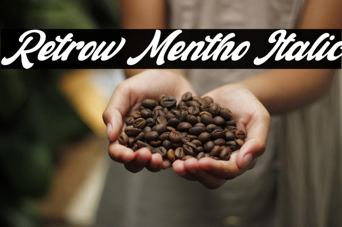Retrow Mentho Italic Example 3