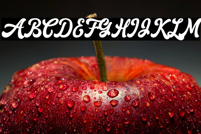 Retrow Mentho Example 2