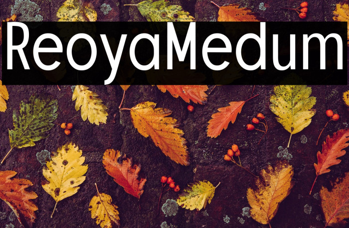 Retroyal Medium Example 3