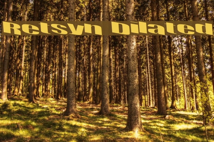 Retsyn Dilated Font examples
