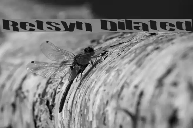 Retsyn Dilated Font examples