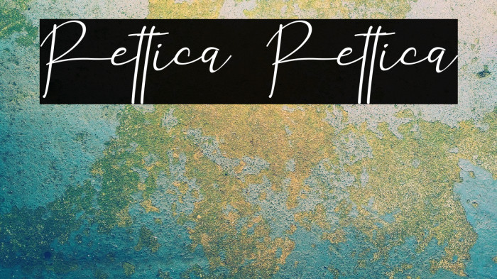 Rettica Rettica Example 2