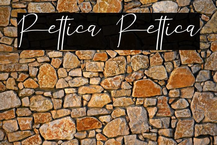 Rettica Rettica Example 3