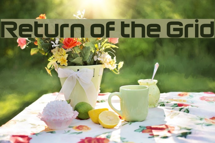 Return of the Grid Example 3