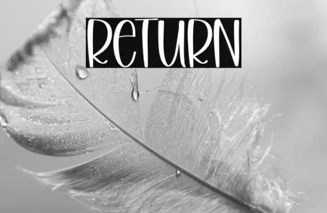 Return Font examples