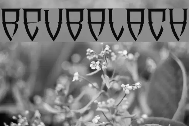 Reubalach Schriftart examples