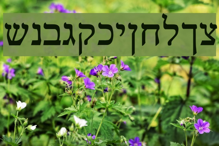 Reuven Normal Example 1