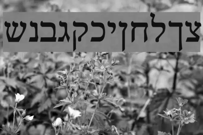 Reuven Normal Font examples