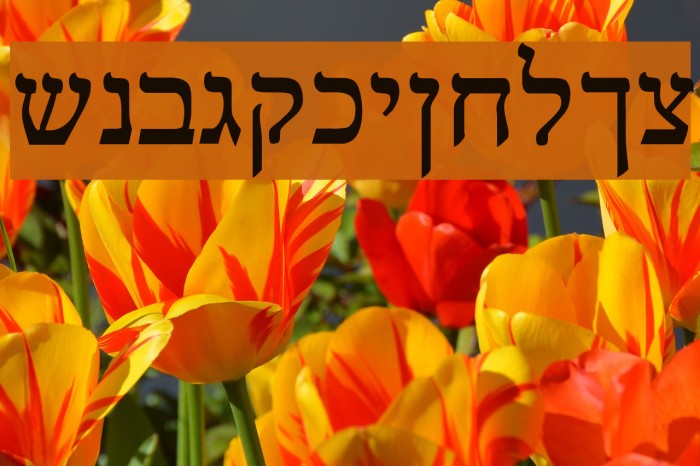 Reuven Normal Example 2