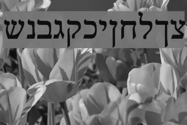 Reuven Normal Font examples