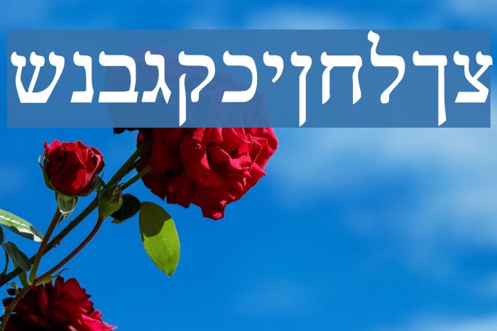 Reuven Normal Example 3