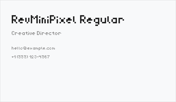 RevMiniPixel Regular Business Card